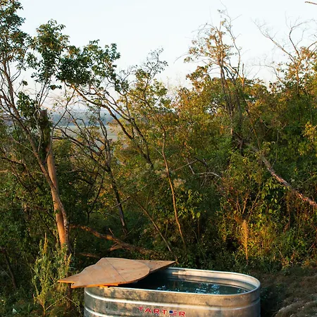 Veritas Beyond Glamping *