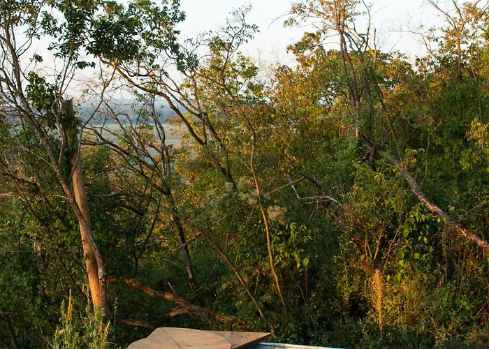 Veritas Beyond Glamping *